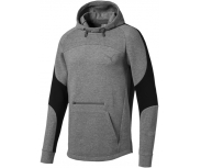 Puma Sweat C/ Capuz Evostripe